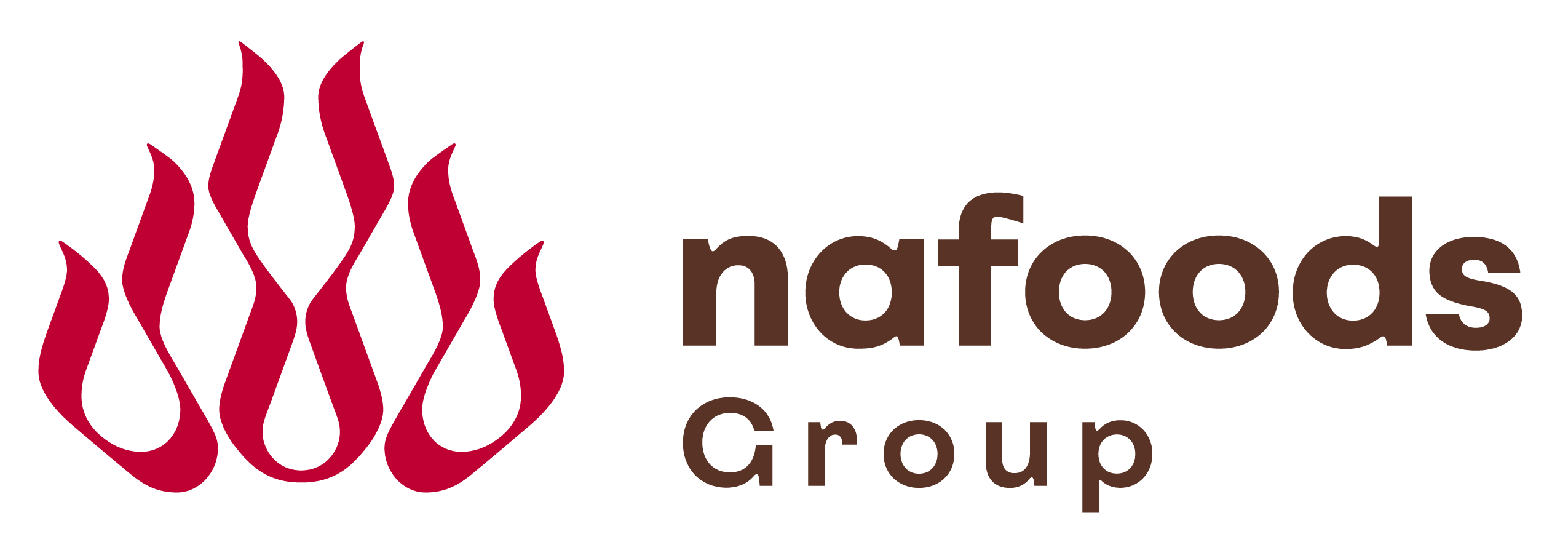 Nafoods Logo web-04