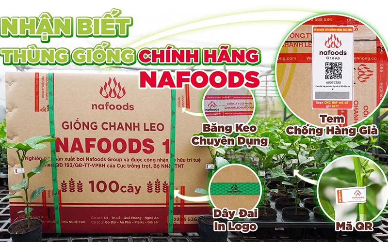 cay giong chanh leo nafoods 1