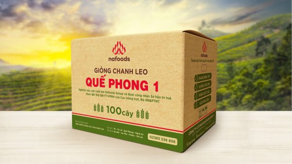 giong chanh leo que phong 1